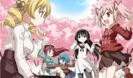 纯肉动漫在线,探索纯肉动漫的奇幻世界