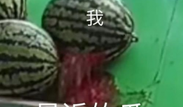 八卦爆料在线吃瓜325,揭秘“在线吃瓜325”背后的热点事件